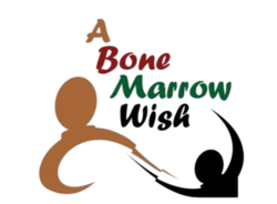 logo transparent 250x